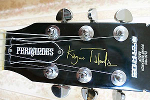 ギターロッドカバー