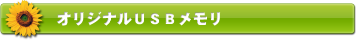 オリジナルの名入れUSBメモリ